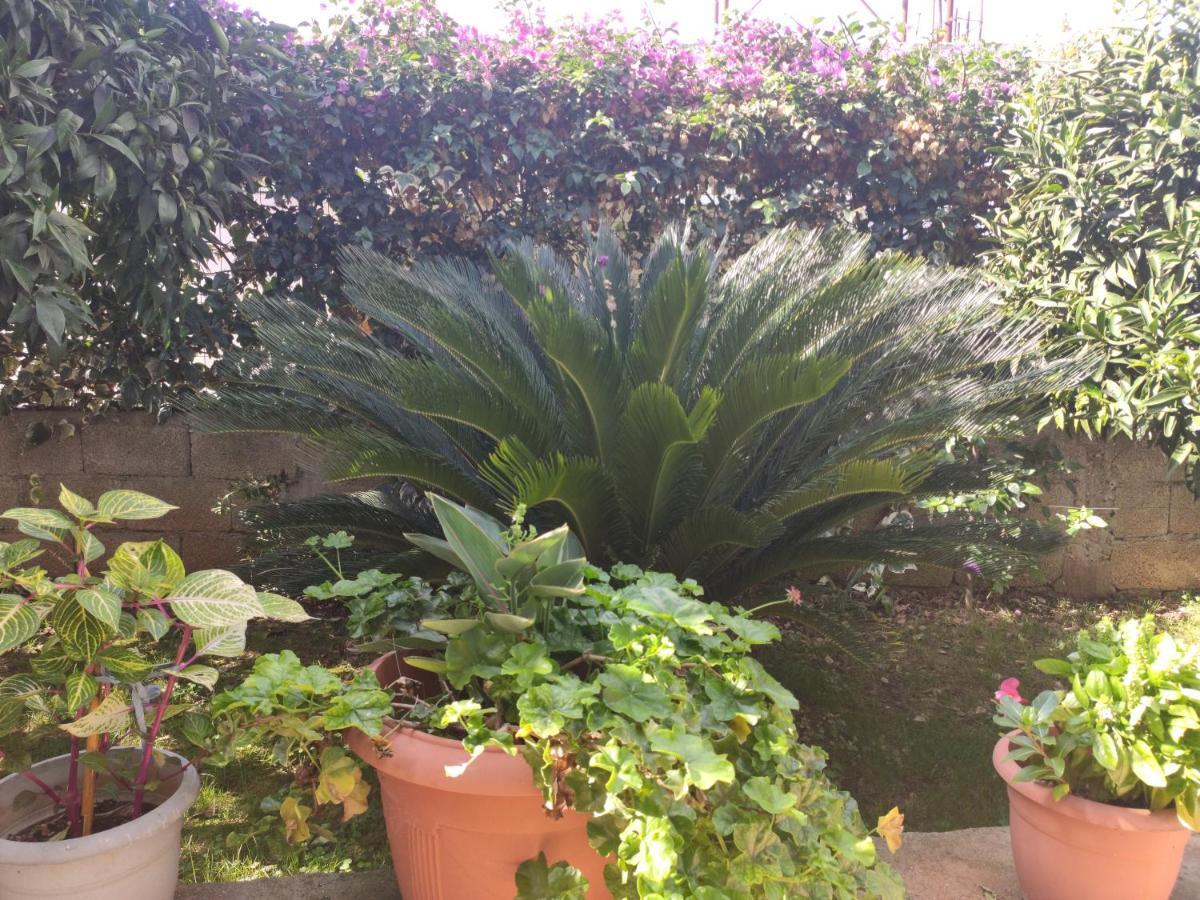 Dema Guesthouse كساميل المظهر الخارجي الصورة