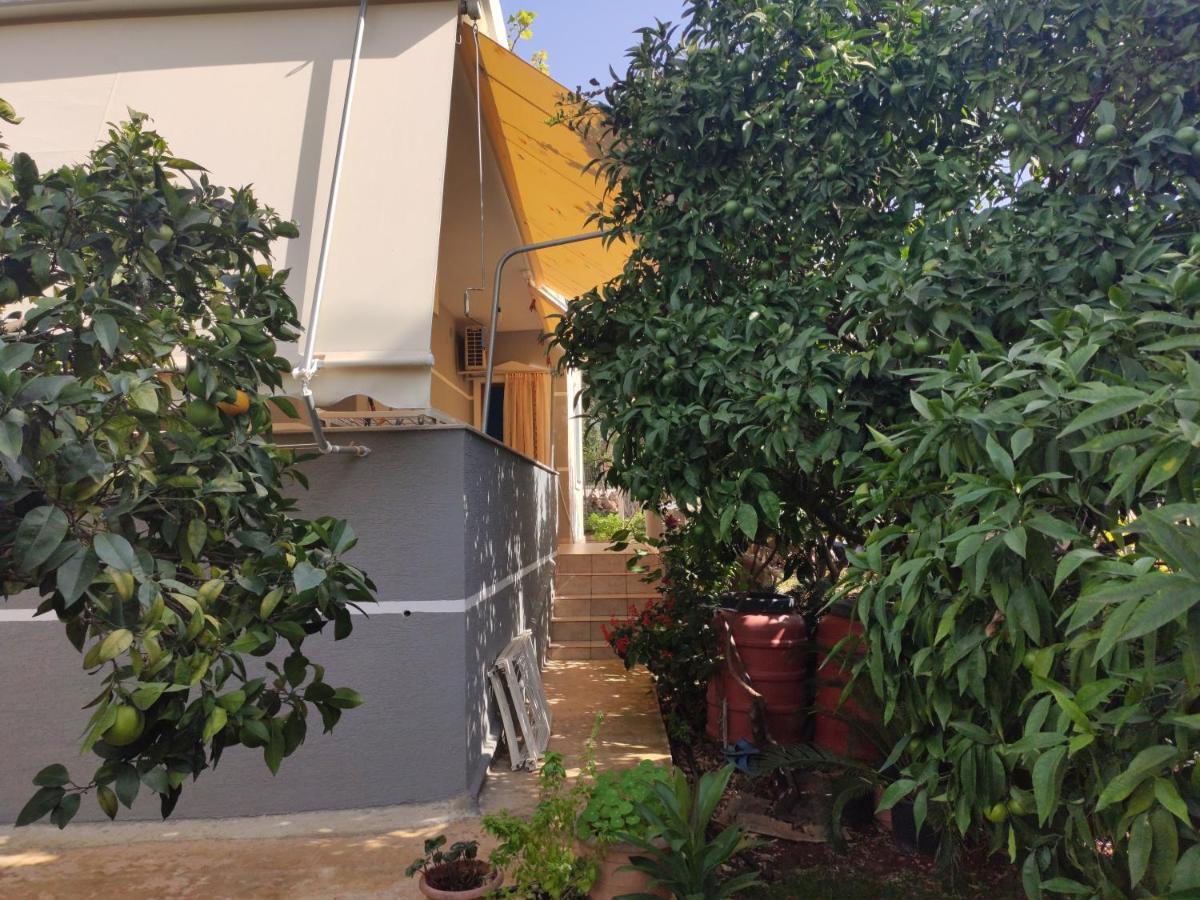 Dema Guesthouse كساميل المظهر الخارجي الصورة